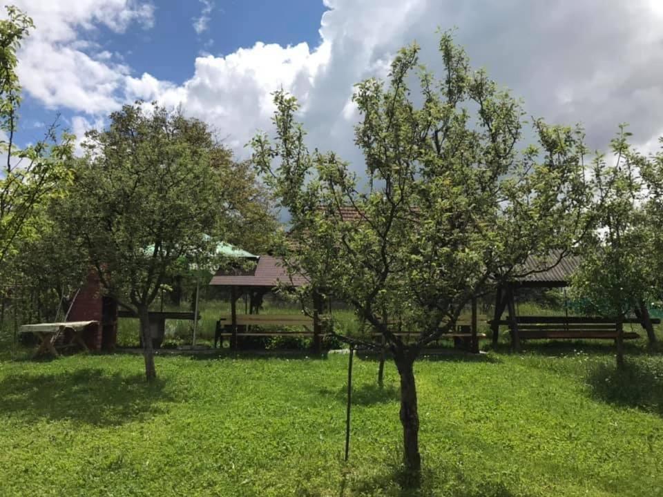 Vila Mogan Hotel Moieciu de Jos Bagian luar foto